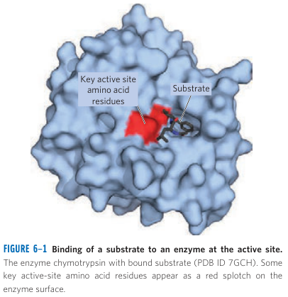 Ligand Binding Concept
